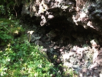rco Cosentini-20110417 047